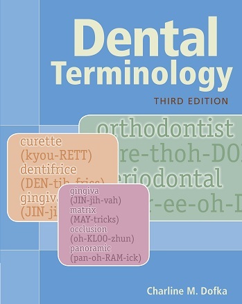 Dental terminology 3