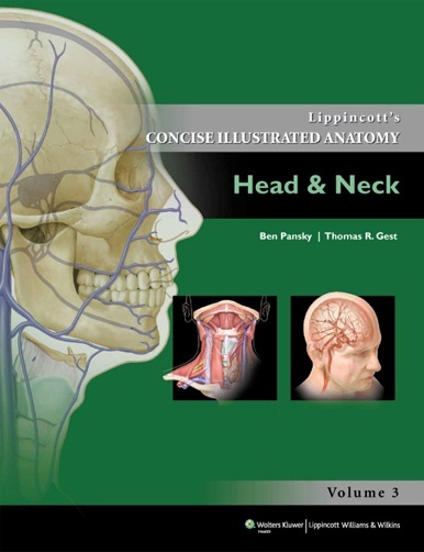 Lippincott concise illustrated anatom head neck