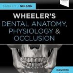 Wheeler’s Dental Anatomy, Physiology and Occlusion