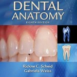 Woelfel’s Dental Anatomy, 8th Edition