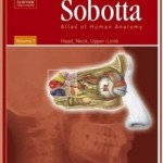[Free] Atlas of Human Anatomy, Volume 1: Head, Neck, Upper Limb, 14th Edition