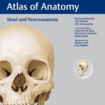 THIEME Atlas of Anatomy: Head and Neuroanatomy