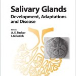 Salivary Glands: Development, Adaptations and Disease