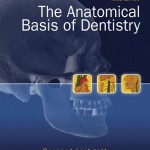 The Anatomical Basis of Dentistry, 3rd Edition