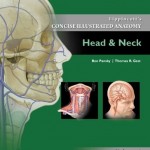 Lippincott’s Concise Illustrated Anatomy: Head & Neck
