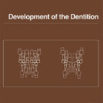 Development of the Dentition