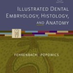 Illustrated Dental Embryology, Histology, and Anatomy, 4th Edition