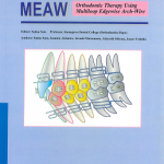 Manual for the clinical application of MEAW technique : MEAW : orthodontic therapy using multiloop edgewise arch-wire