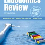 Endodontics Review, Second Edition